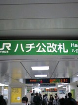 1d37e20f.jpg