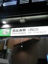2e985495.jpg