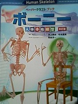 3026b838.jpg