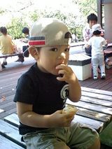 33c95a34.jpg