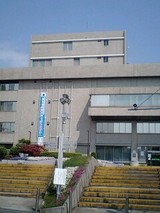 428d3c88.jpg