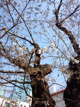 4a892786.jpg