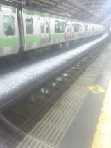 51a43932.jpg