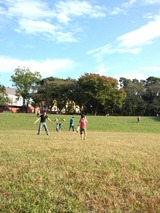 524b845b.jpg