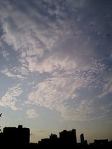 5a912528.jpg