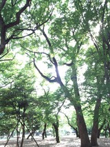 6ff84307.jpg