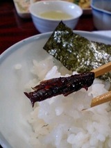 7cf315d6.jpg