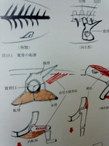 7e000bc6.jpg