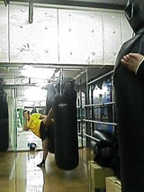 81d08474.jpg