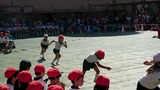 8905d574.jpg