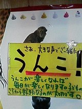 8d1d2008.jpg