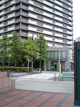 955bf983.jpg