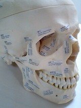 9ed41b93.jpg