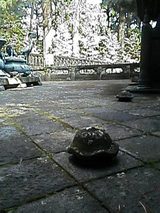 a46c7d37.jpg