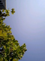 ba58ee79.jpg
