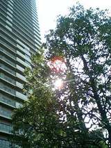 c323828c.jpg