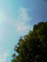 c4070022.jpg