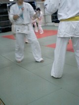 c7753185.jpg