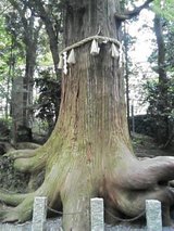 d0771ab8.jpg