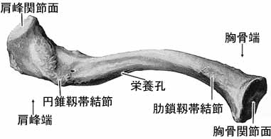 A02402001b