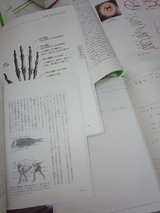 ee75a235.jpg