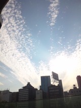 f07aabd3.jpg