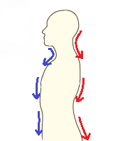 すわり (2)