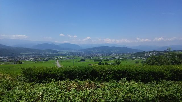 image%3A66176