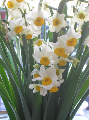 2012 030