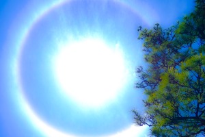 37E5169D-4C8C-4708-A685-ABB4BD430978