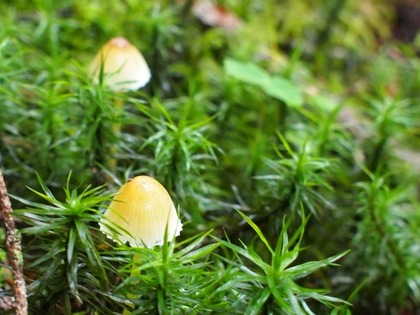 雨池3