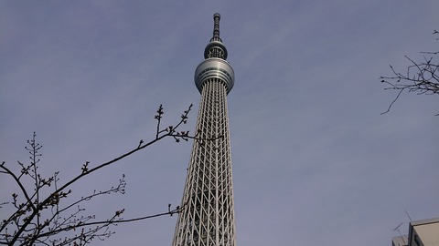 DSC_1493