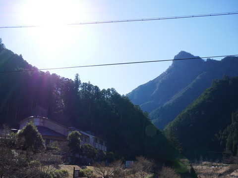 P1000048