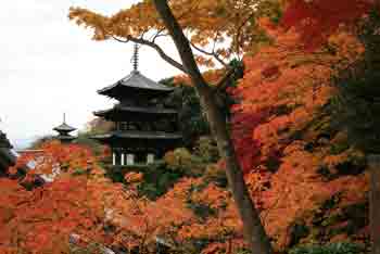 当麻寺1