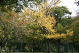 726d17e2.jpg