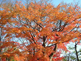 94639d2a.jpg