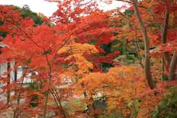 当麻寺3