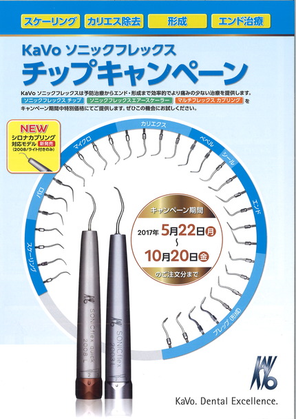 ソニックフレックスチップ
