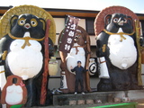 たぬき