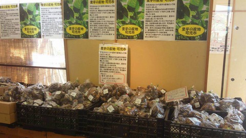 可児ッテ 里芋