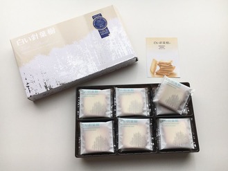 白い針葉樹02