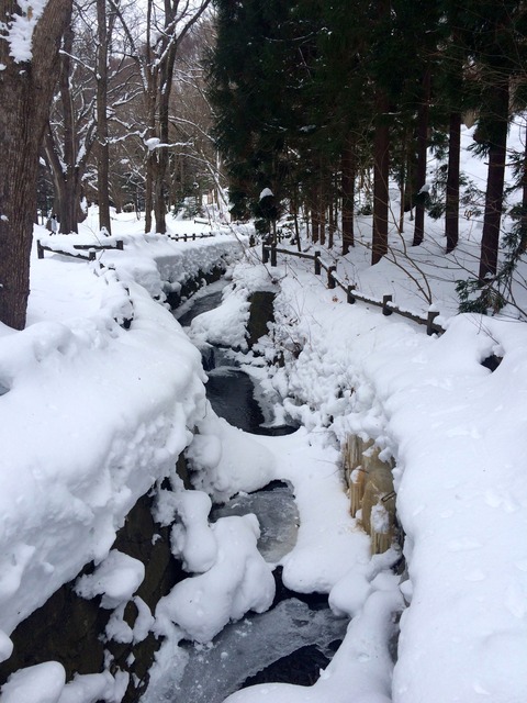 北海道神社川