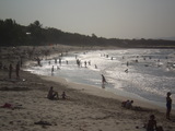 noosa2