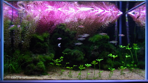 RIMG0040