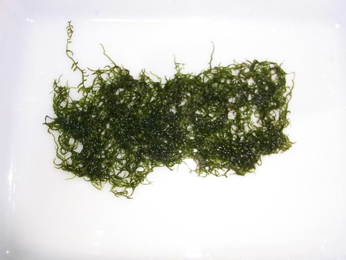 R0015662