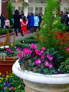 ���ॹ���ߤĤ�