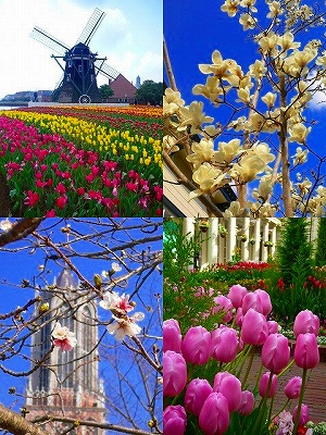 3��8���β�����