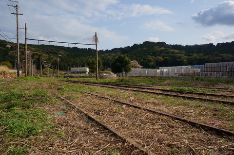DSC07141