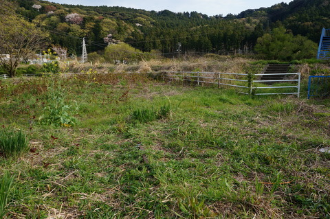 DSC07153