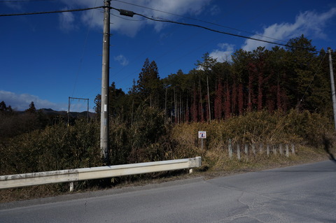 DSC00664